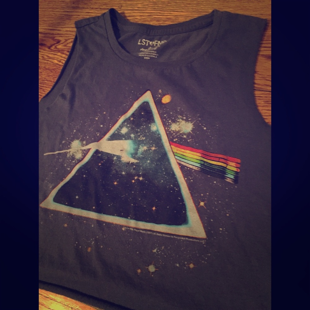 BUNDLED AE Pink Floyd Crop Top